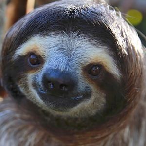 Meet your Posher, Naomi